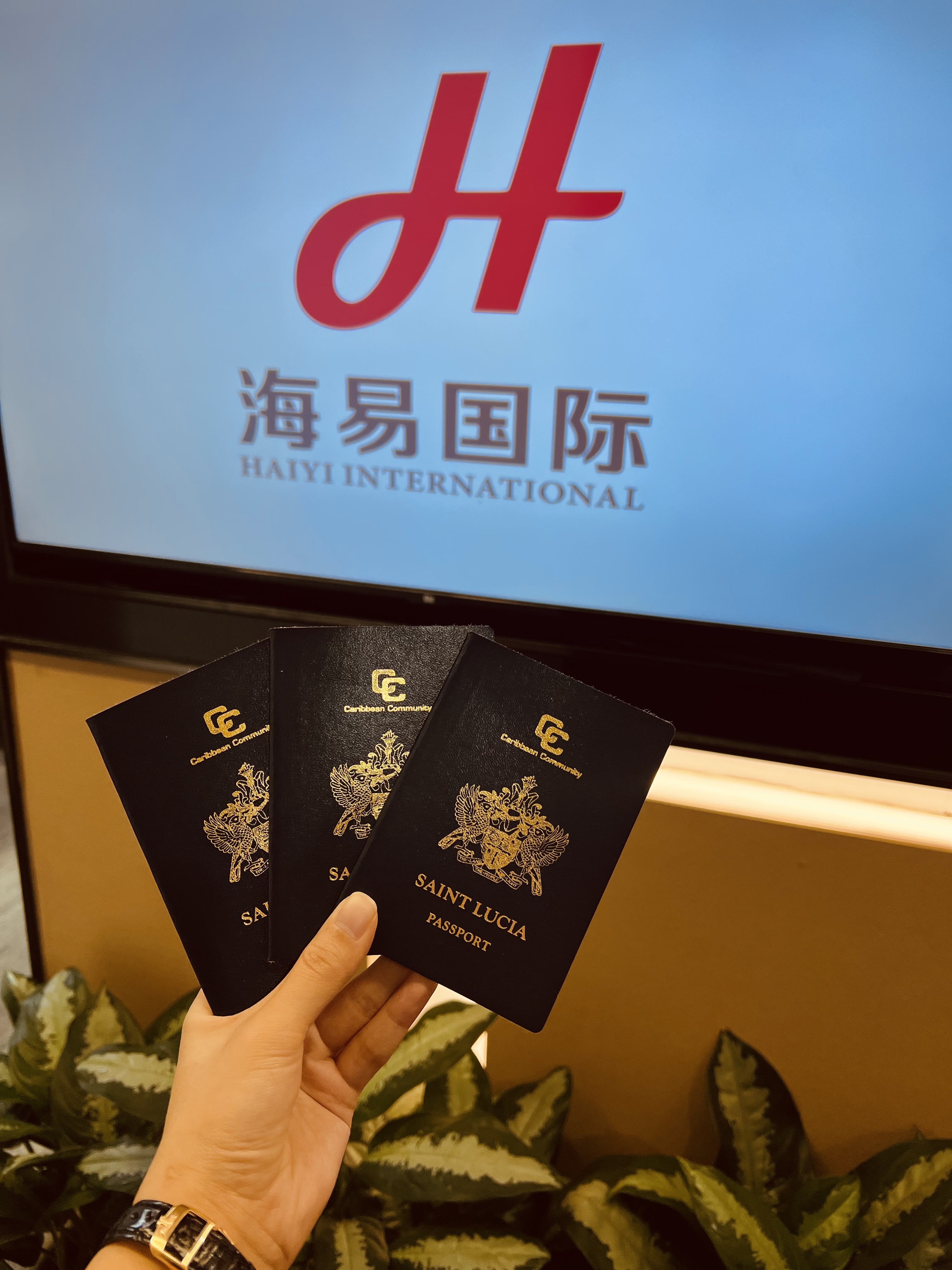 圣卢西亚成功案例(图4)