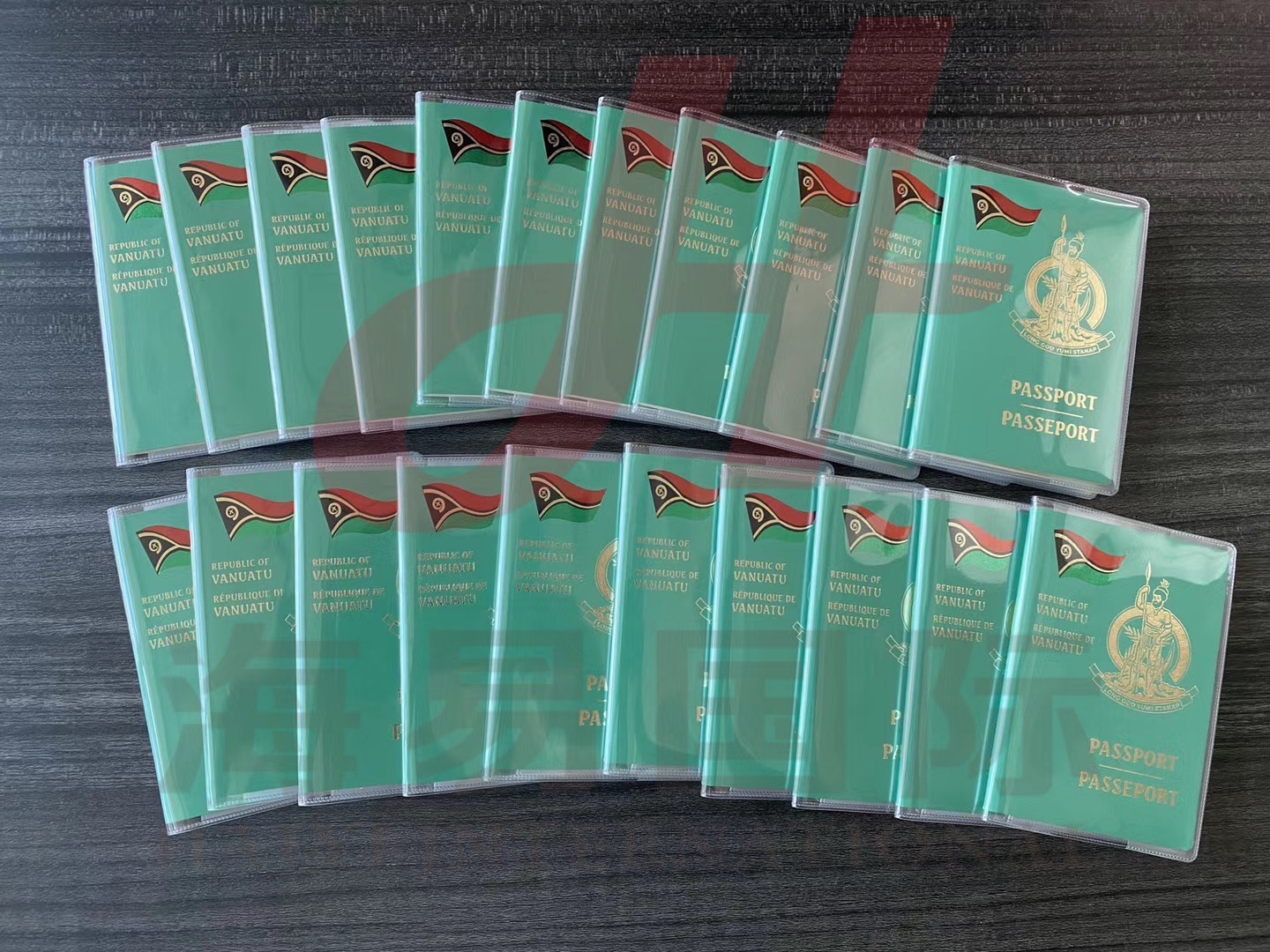 瓦努阿图成功案例(图6)