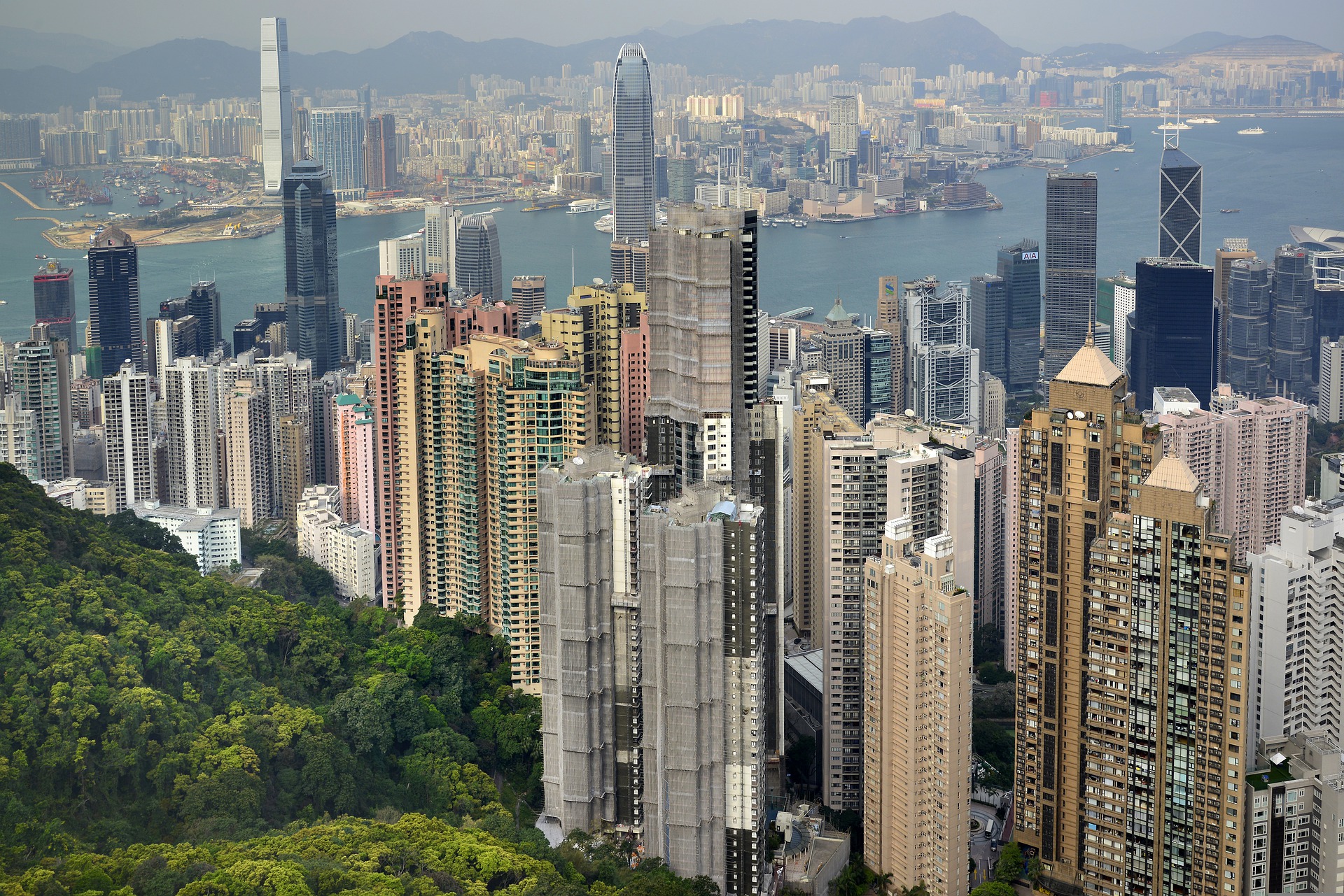 香港优才计划申请条件