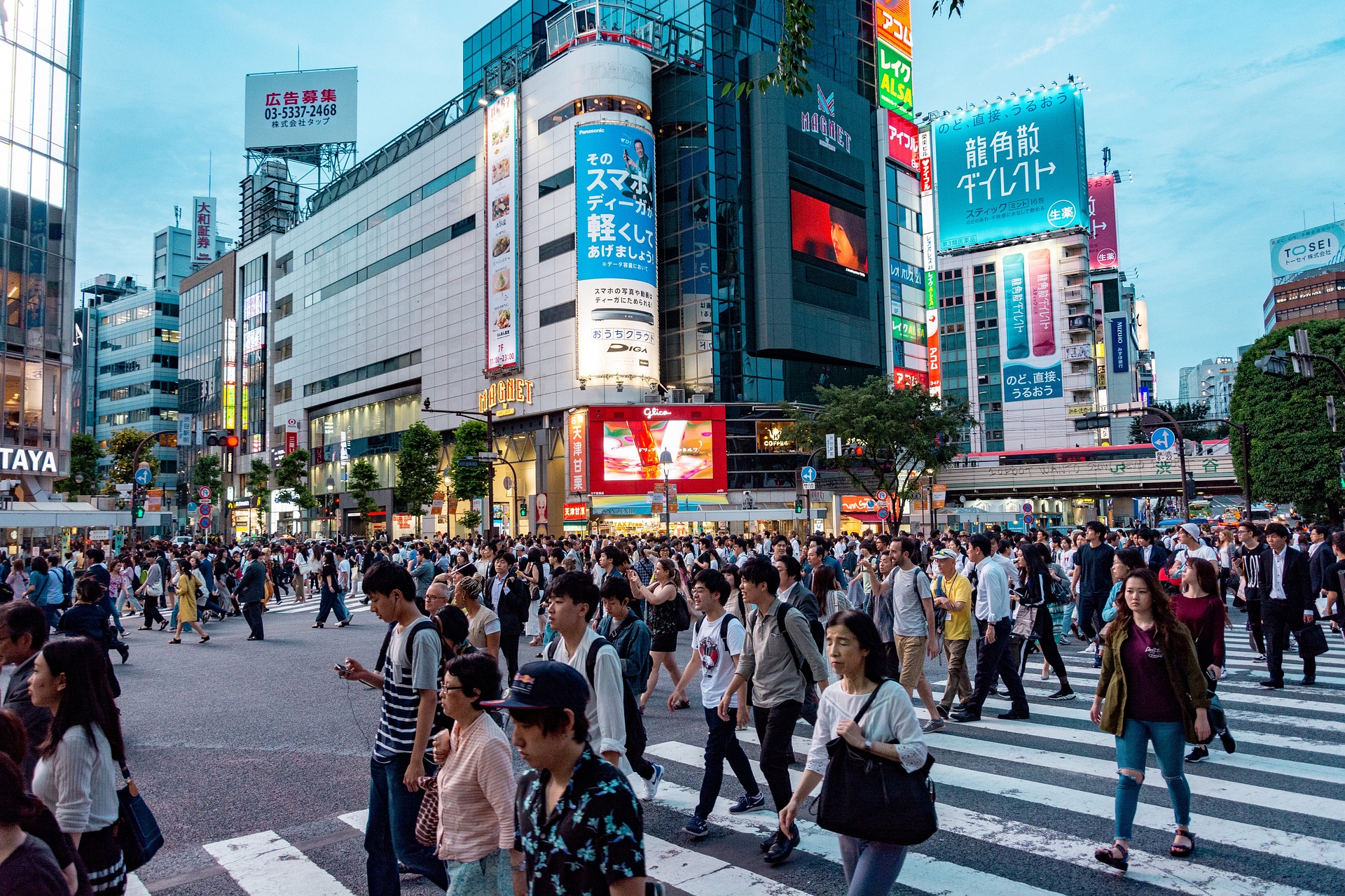 移民日本的好处和坏处有哪些