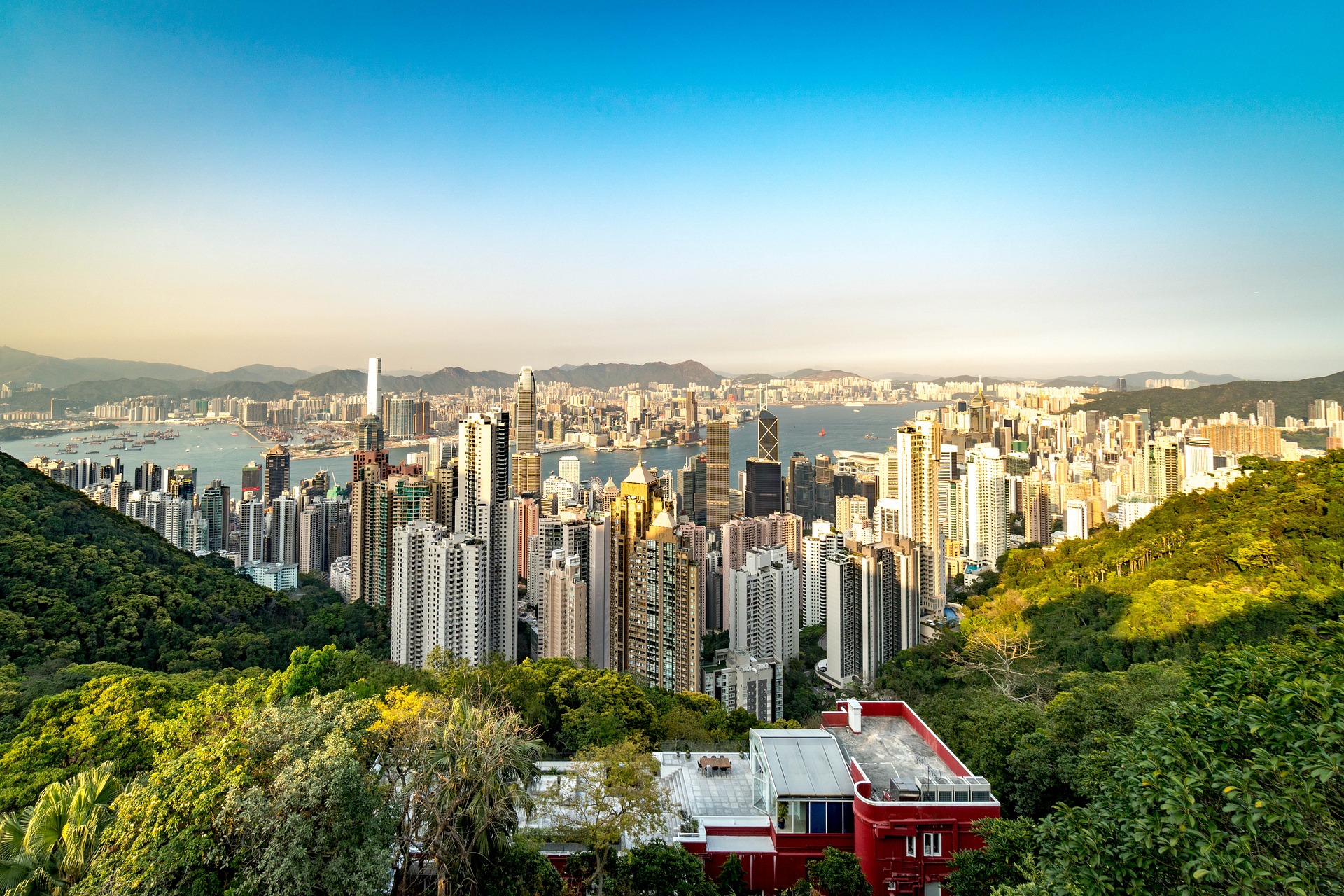 香港专才计划