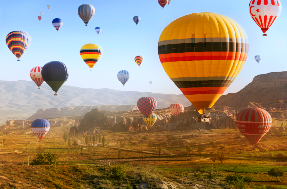 2026年土耳其投资移民三种路径路径：购房仍是绝对主流，基金路径成第二选择(图2)